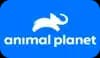 Live TV channel logo
