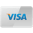Visa accepted